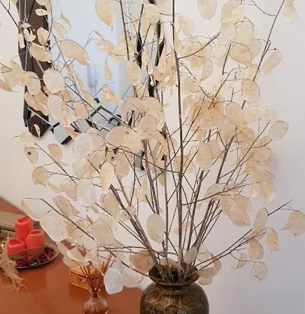 Toscana Apartamento